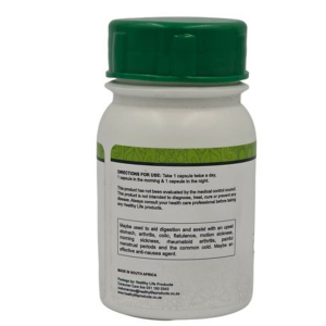 Healthy Life Ginger Extract 500mg 60 Capsules - Digestive & Immune Support