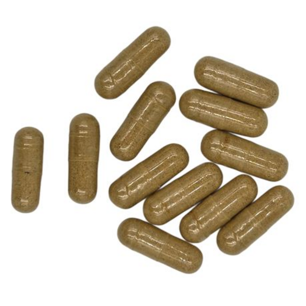 Healthy Life Odourless Garlic 500mg 60 Capsules-Heart Health Support-4-Pack - Image 4