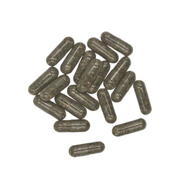 Healthy Life Green Tea Capsules 500mg - 60's x 4 - Image 4
