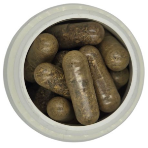 Healthy Life Echinacea Root 500mg-60 Capsules|Natural Immune Support-2-Pack