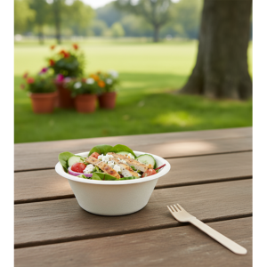 Sugarcane Biodegradable Round Bowl 250ml - 50 Pack
