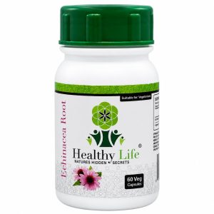 Healthy Life Echinacea Root 500mg - 60 Capsules | Natural Immune Support