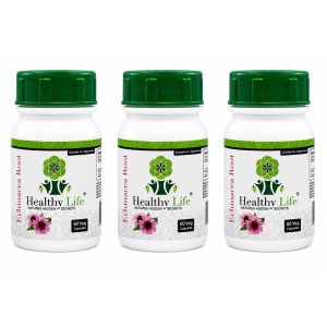 Healthy Life Echinacea Root 500mg - 60 Capsules | Immune Support 3-Pack