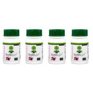 Healthy Life Echinacea Root 500mg-60 Capsules|Natural Immune Support-4-Pack