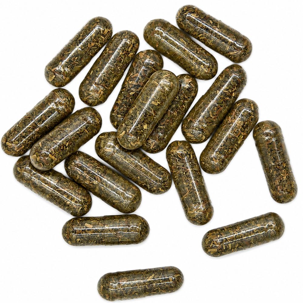 Healthy Life Green Tea Capsules 500mg - 60 - Image 6
